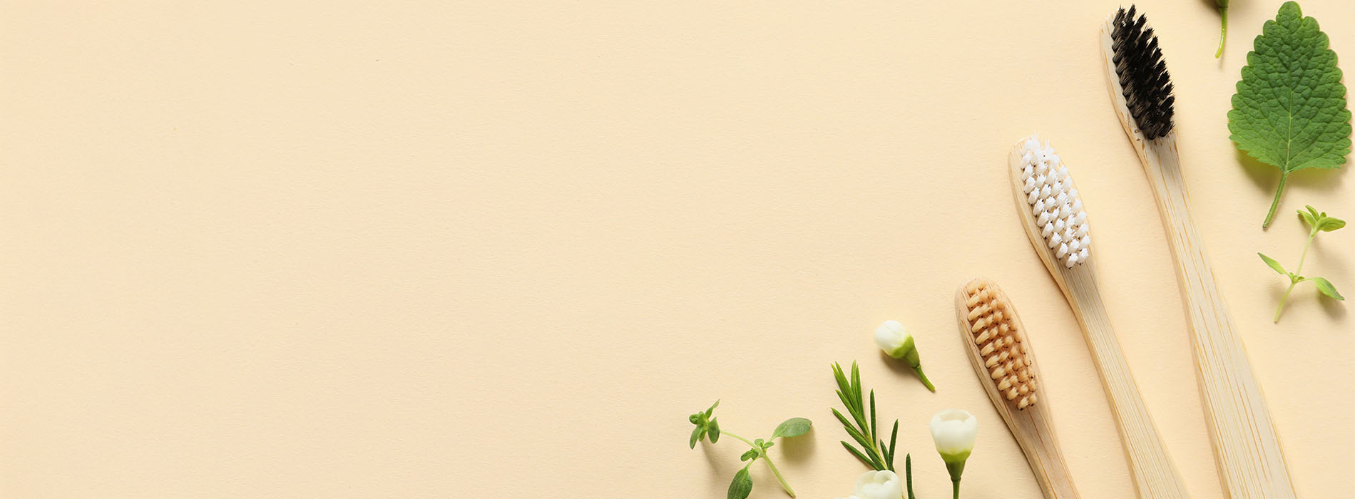 The image shows a collection of natural ingredients such as herbs, spices, and possibly some grains or seeds, arranged on a wooden surface against a light background.