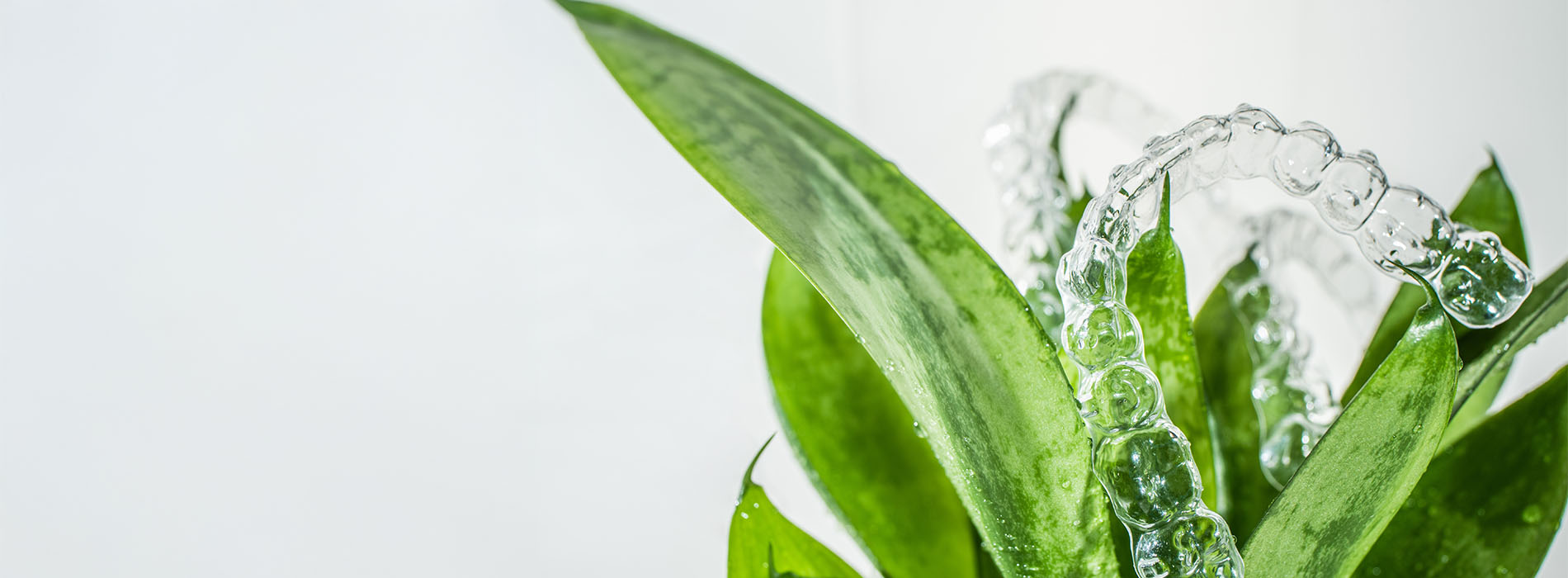 The image shows a close-up of a droplet being shed from a green leaf, with water droplets captured mid-air against a blurred background.