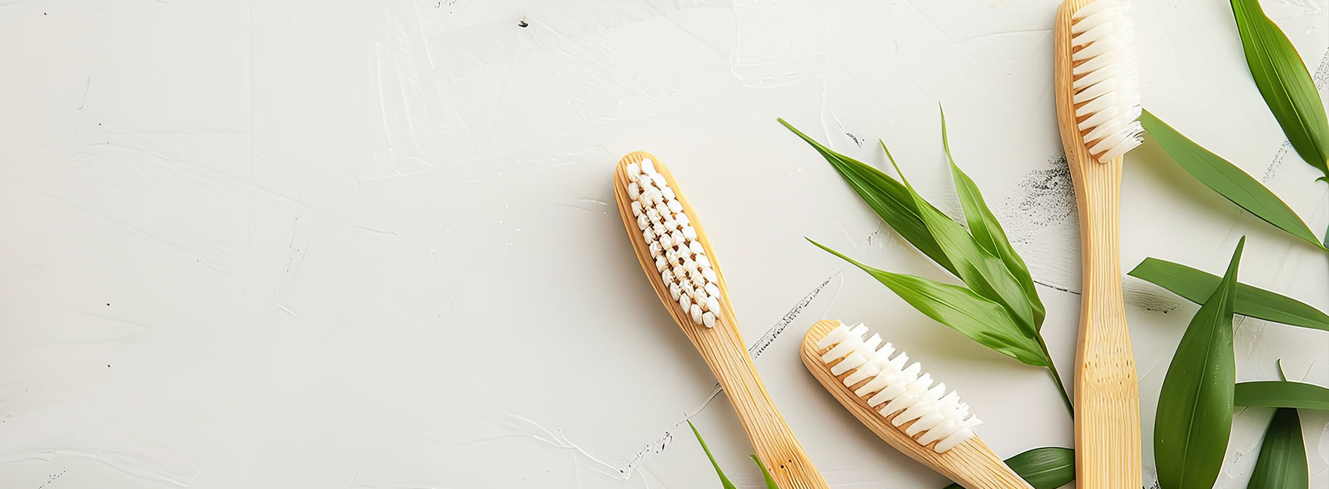 The image features a collection of wooden toothbrushes with bristles, arranged on a white surface with a green plant in the background.